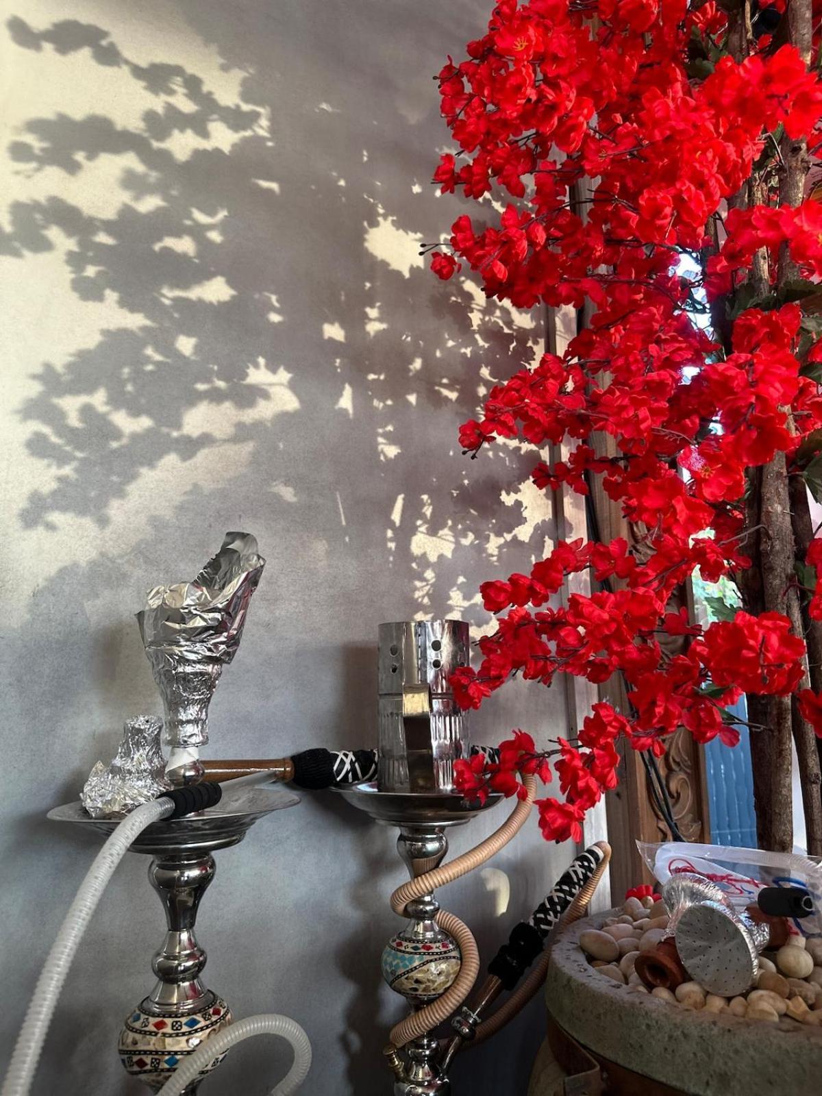 Modern 1-bedroom In Zamalek Visits Allowed - 8a